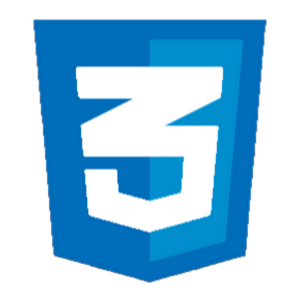 css_logo